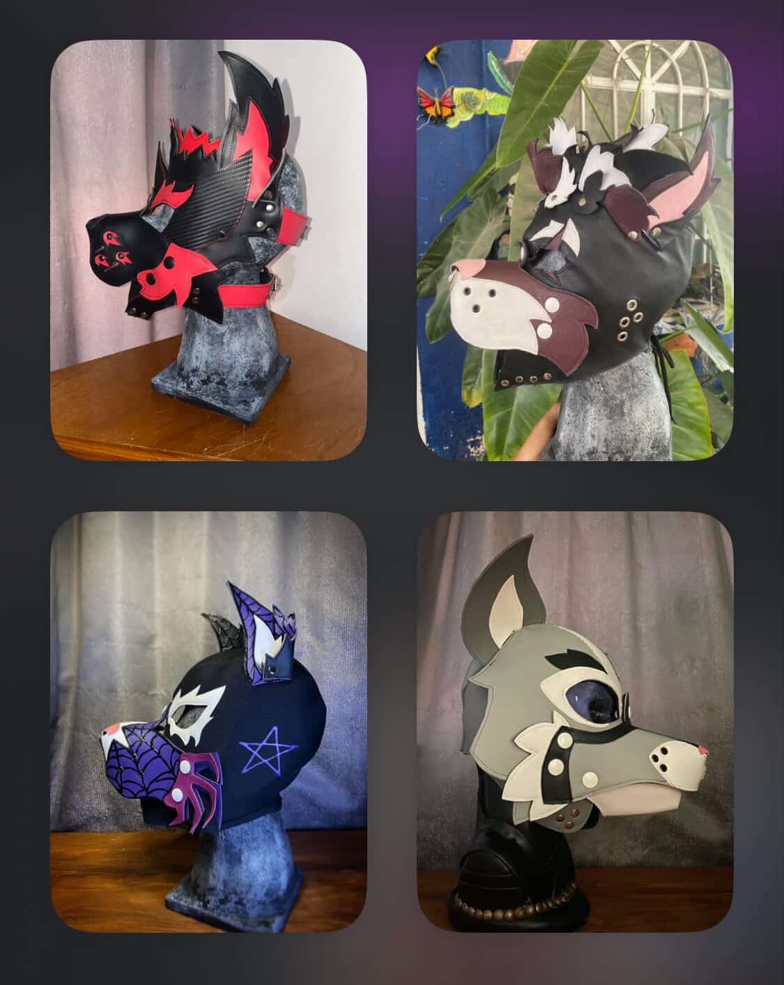 Equipando al cachorro